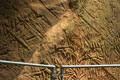Edakkal Caves