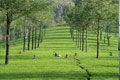 Munnar