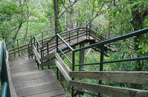 Thenmala