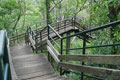 Thenmala