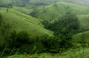 Vagamon